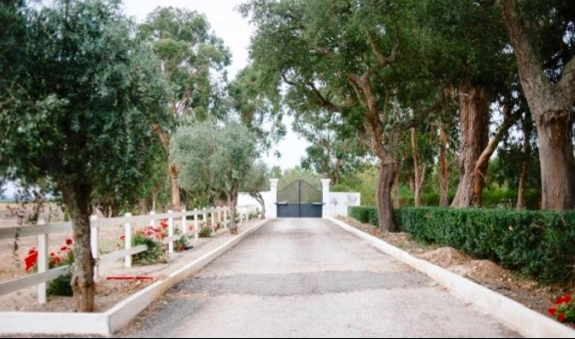אלמיירים Herdade De Santa Maria מראה חיצוני תמונה